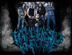 Take This to Your Grave